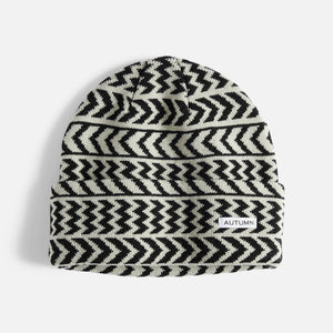 AUTUMN Chevron Beanie - Iceburg