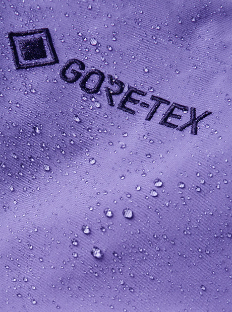 BURTON [ak] Swash Insulated Gore-Tex 2L Pant 2027 - Purple Voltage
