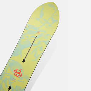 BURTON Family Tree Sketch Artist Snowboard 2026