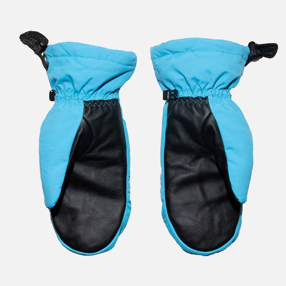 SALMON ARMS Classic Mitt 2025 - Rainbow