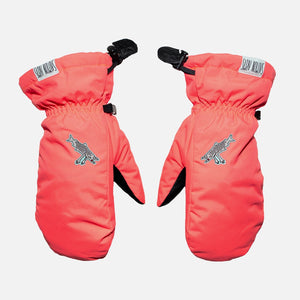 SALMON ARMS Classic Mitt 2026 - Spawn