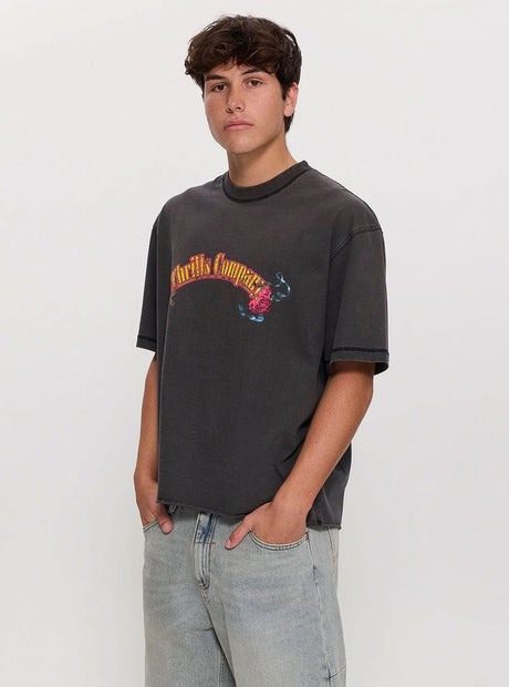 THRILLS Fury Box Fit Oversize Cropped Tee - Temple Grey