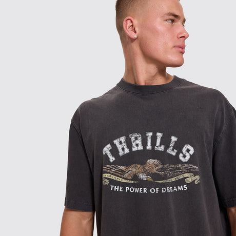 THRILLS The Power Of Dreams Oversize Box Crop Tee - Temple Grey