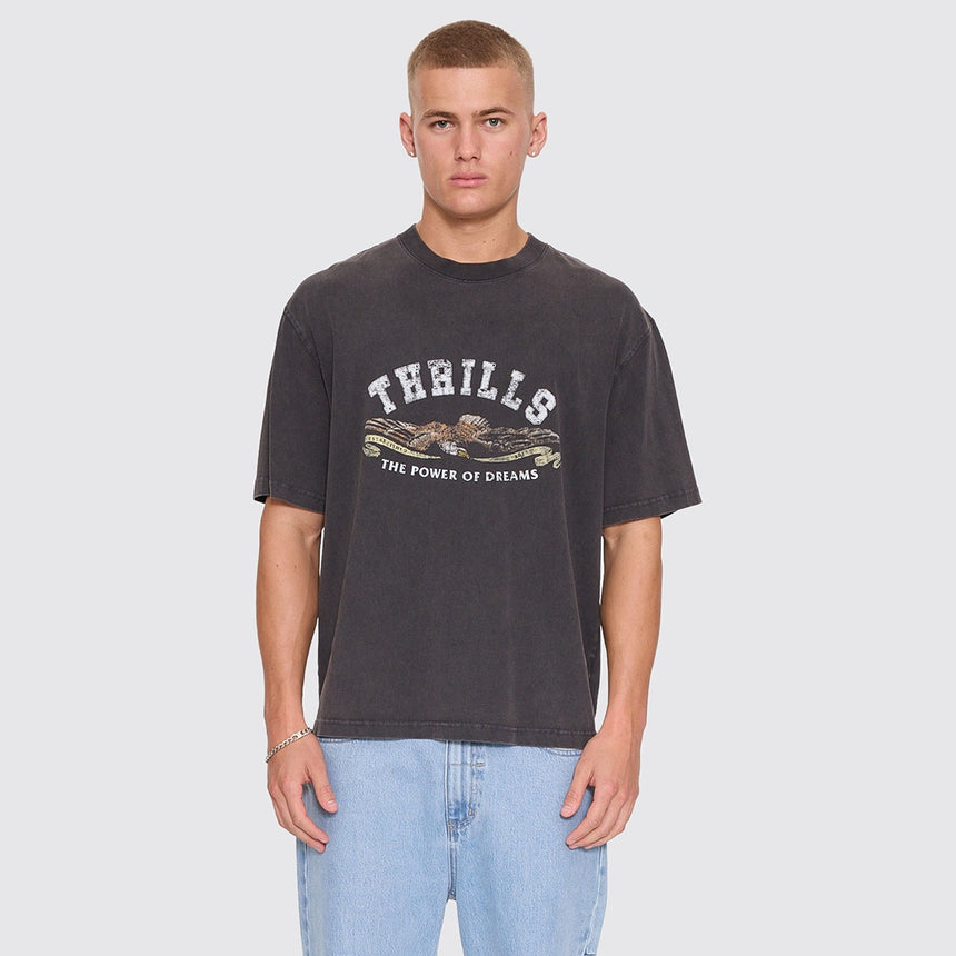 THRILLS The Power Of Dreams Oversize Box Crop Tee - Temple Grey