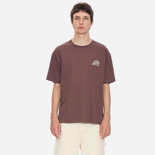 WORSHIP Cherub Tee - Dark Choc