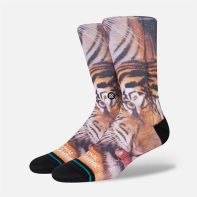 STANCE Two Tigers Sock - Black